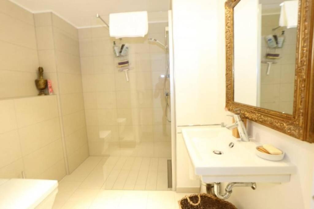 Large Family Retro Flat In City Center- Large Terrace & Garden View, Free Parking ルクセンブルク エクステリア 写真